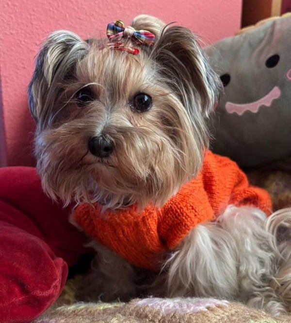 Jersey Mónica Naranjo