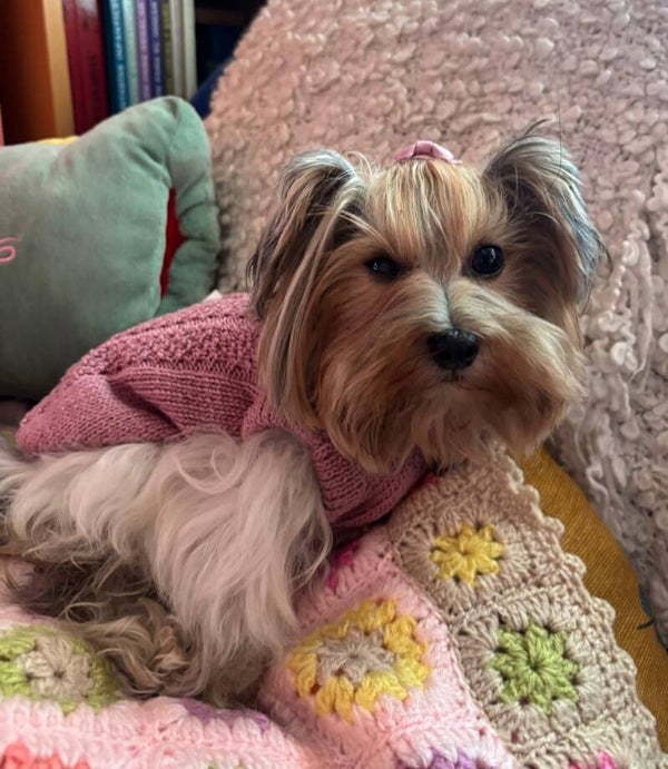 Jersey Hedy Malva Rosa