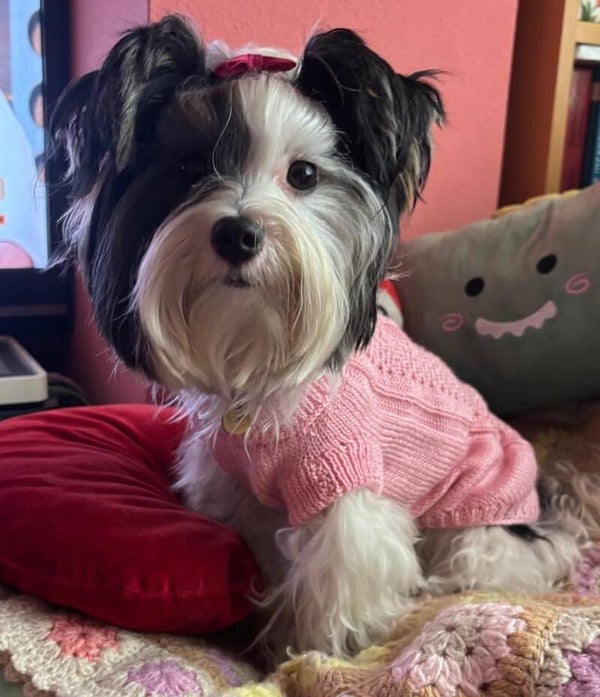 Jersey Olivia Rosa pálido