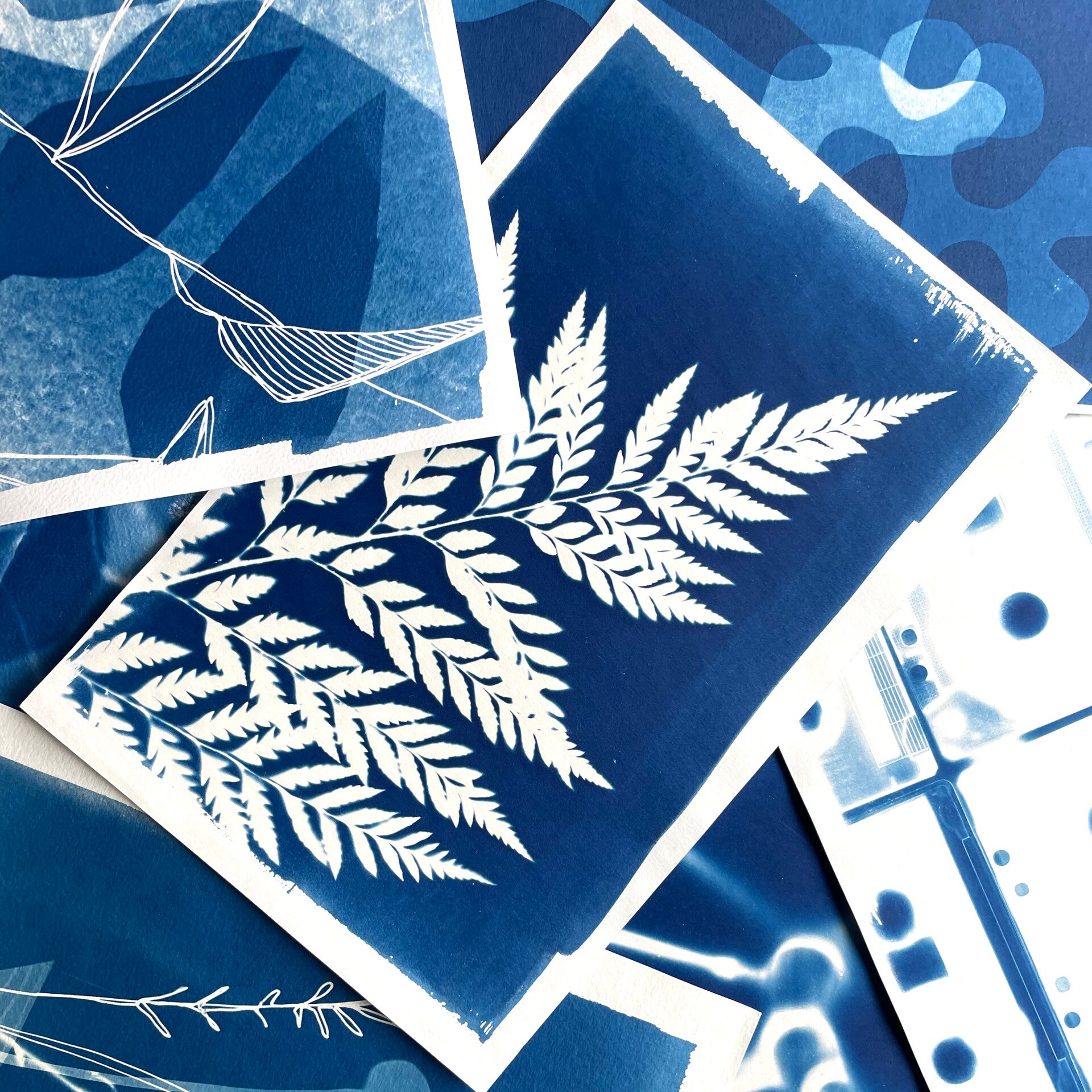 workshop cyanotype