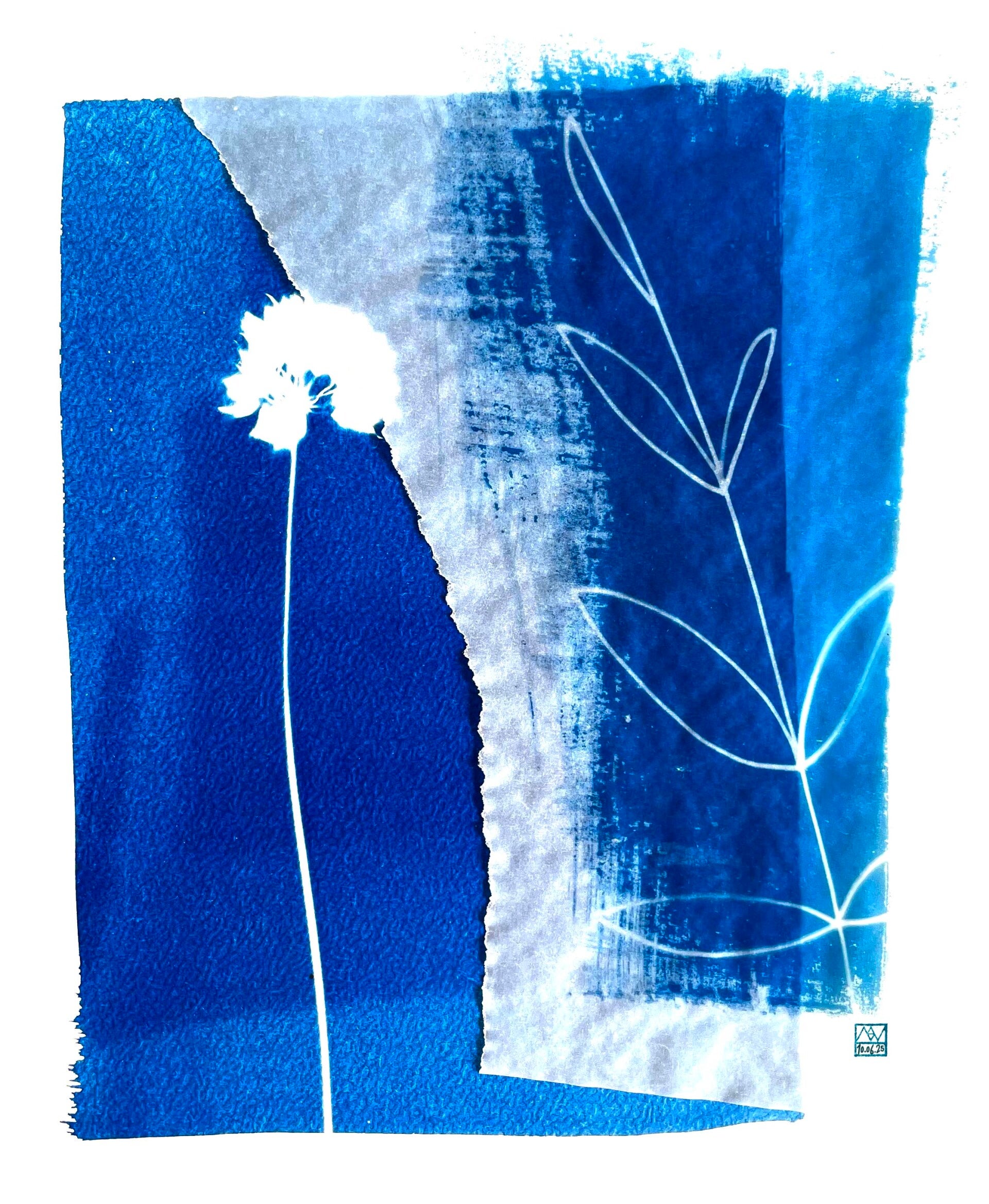 cyanotype | een tastbare herinnering