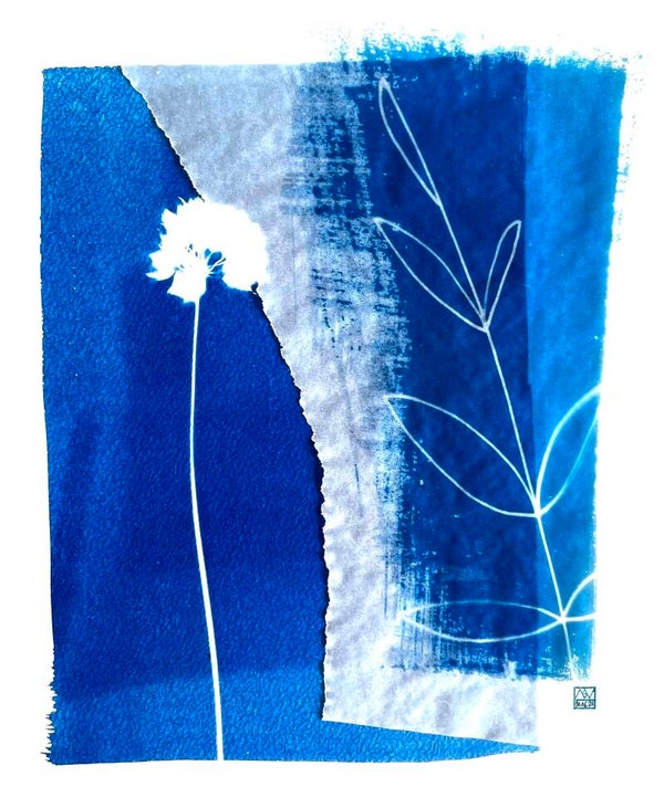 cyanotype | een tastbare herinnering