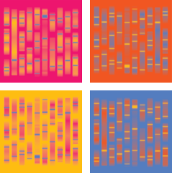 4x CANVAS SQUARE