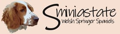 Welsh Springer Spaniel Kennel van Sminiastate