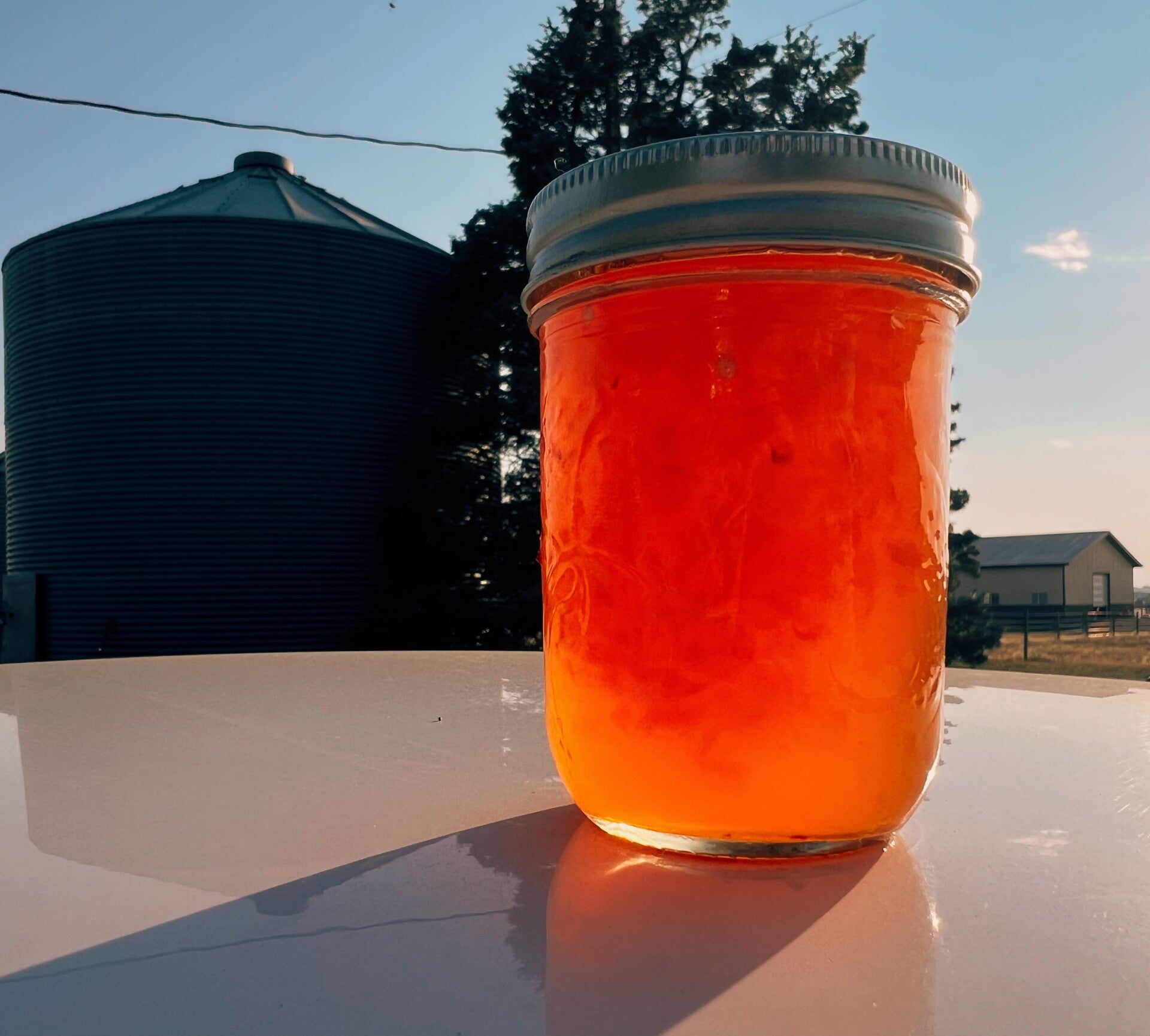 Habanero Jelly