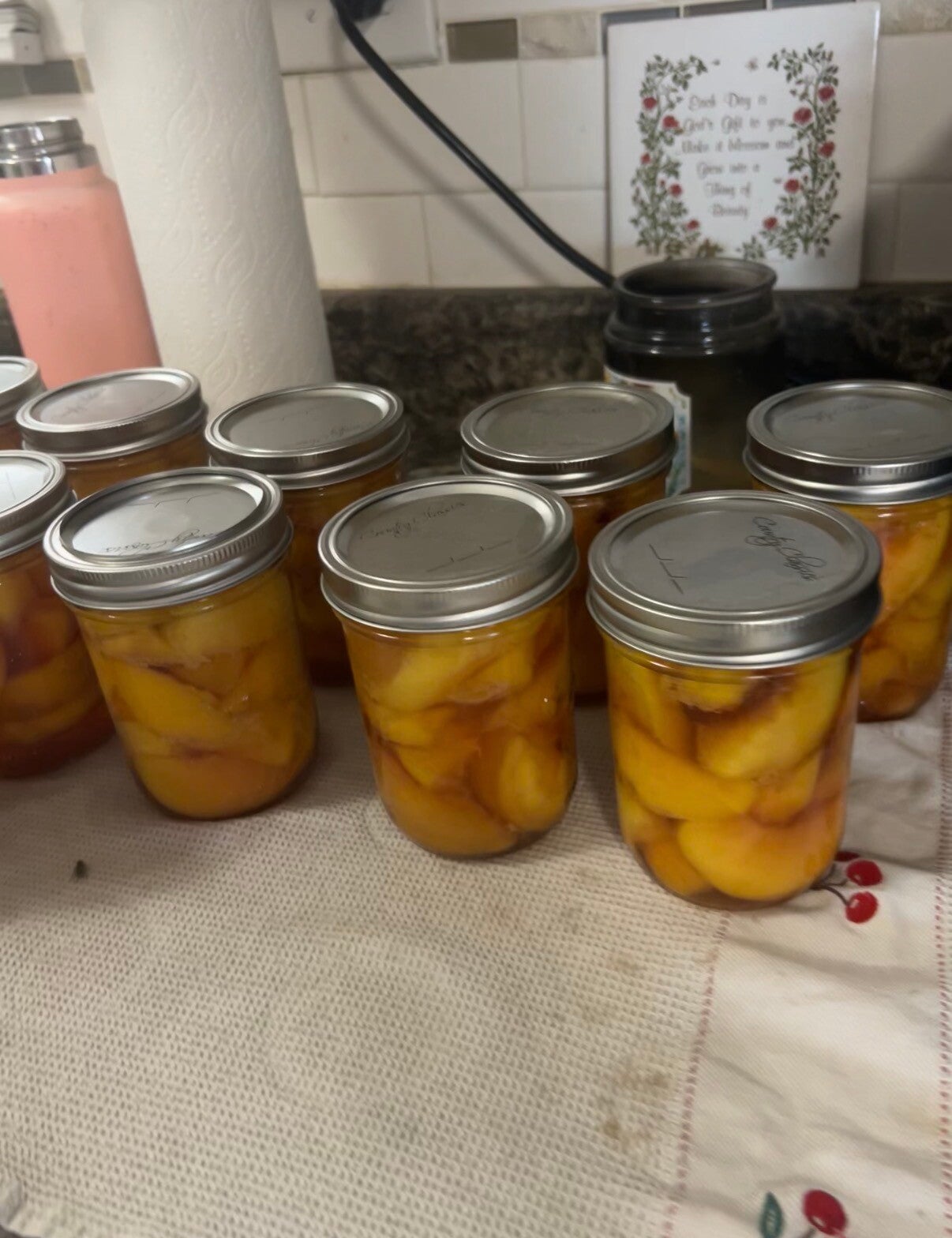 Canned Peaches