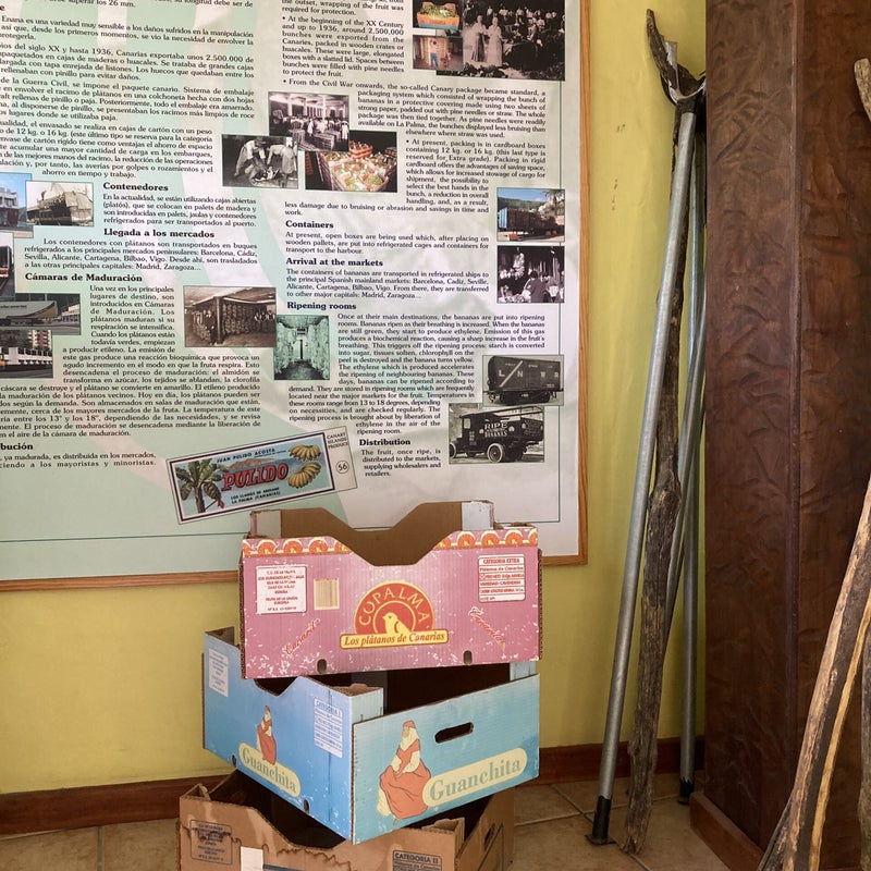 Bananenmuseum Tazacorte, la Palma