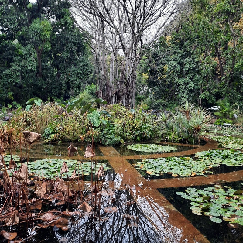 botanische tuin Palermo