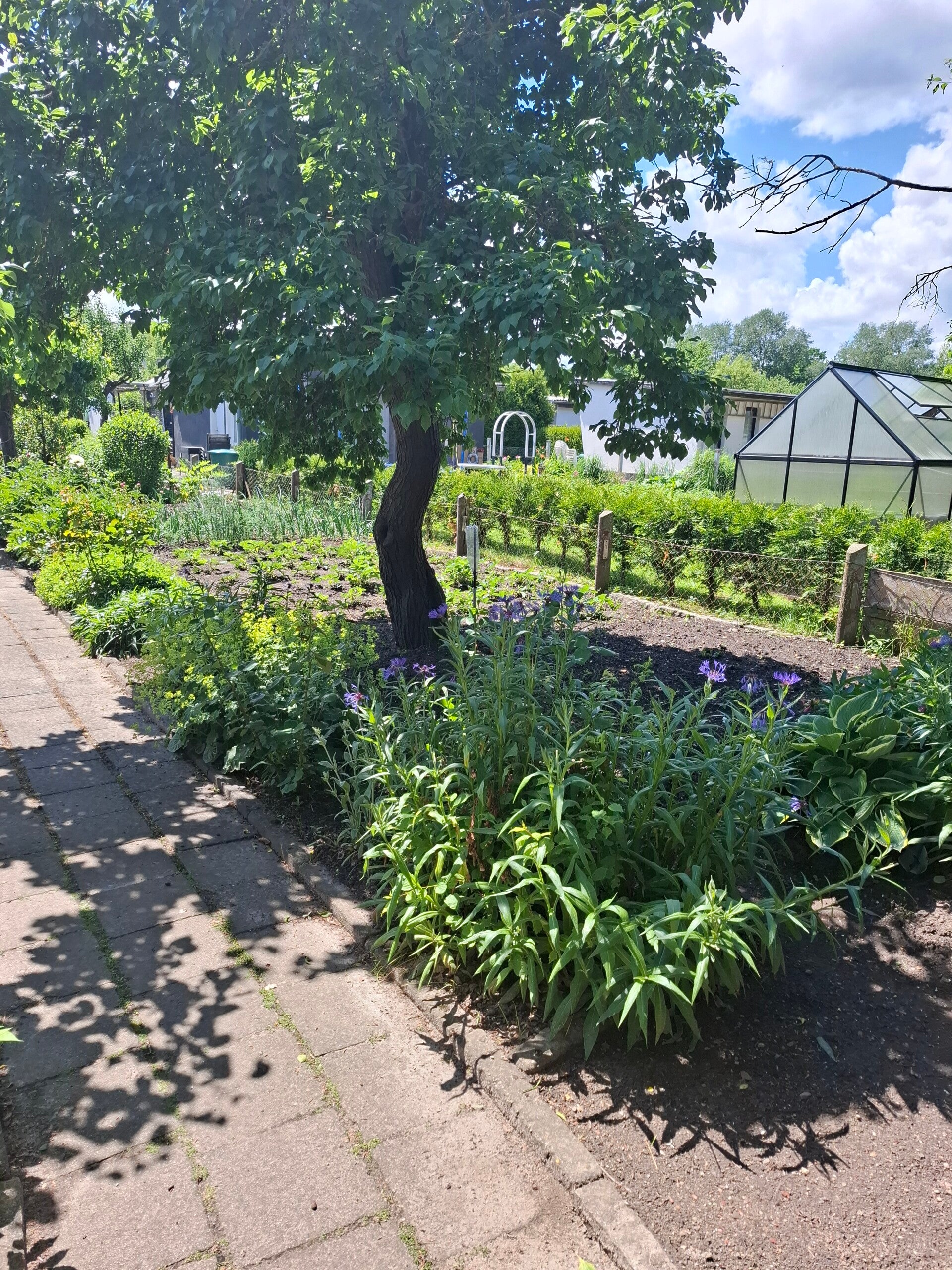 Garten D012 350m²