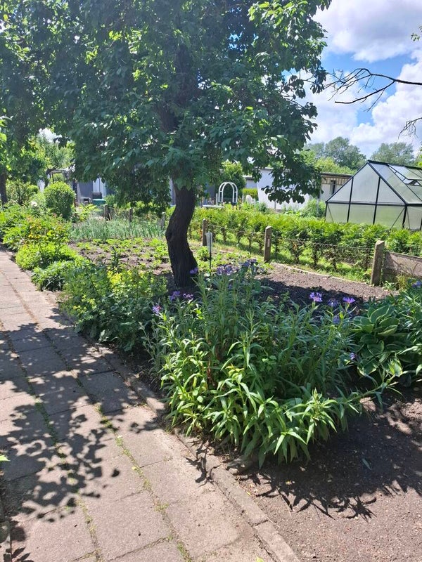 Garten D012 350m²