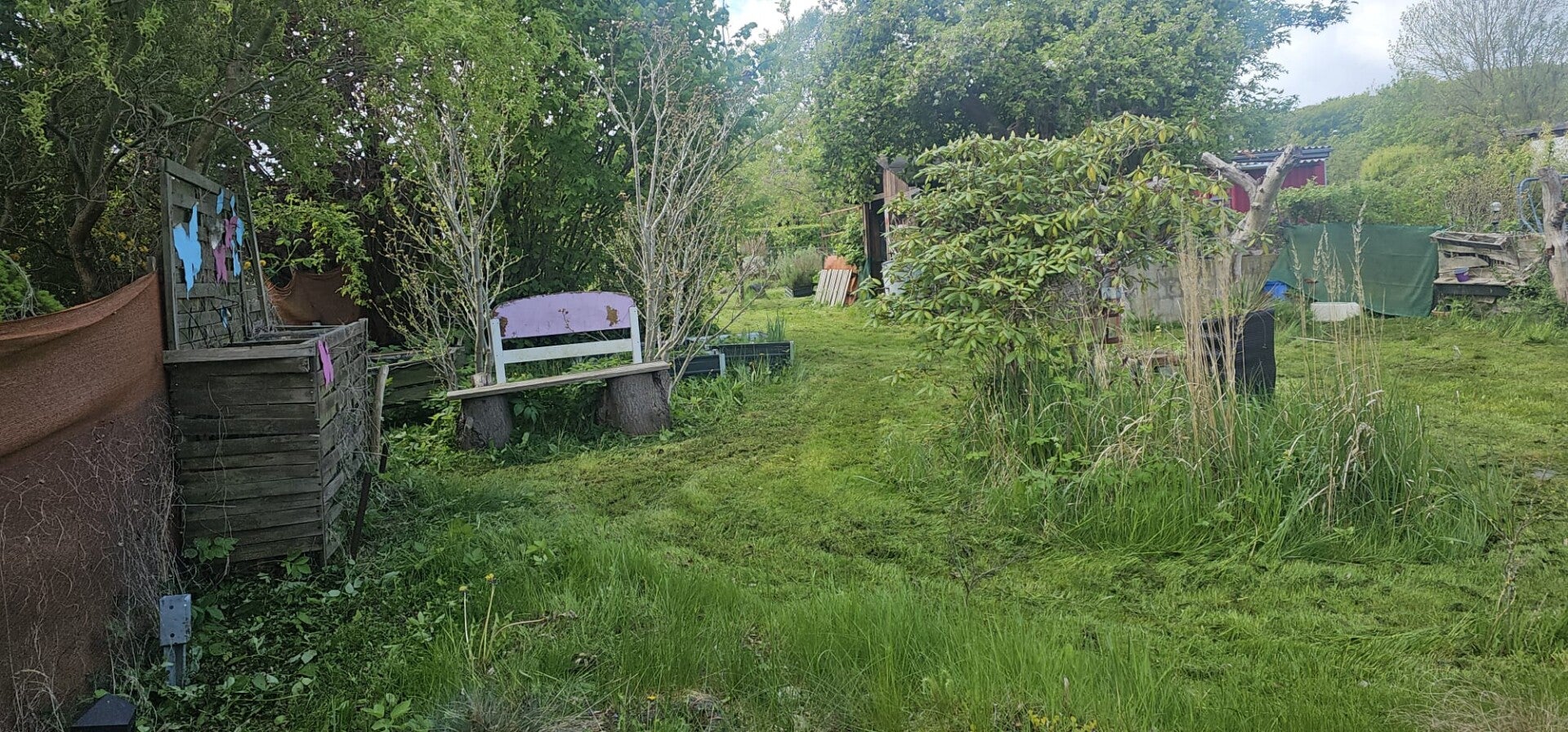Garten D206 – 658 m² mit viel Platz und großem Entwicklungspotenzial