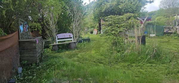 Garten D206 – 658 m² mit viel Platz und großem Entwicklungspotenzial