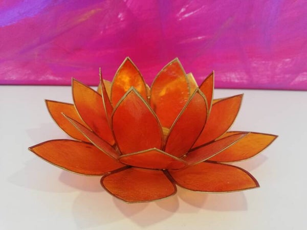 Lotus Windlicht orange 2400