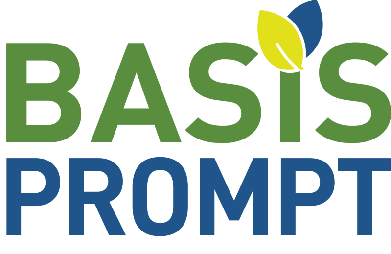 Basis Prompt Register No 20045002
