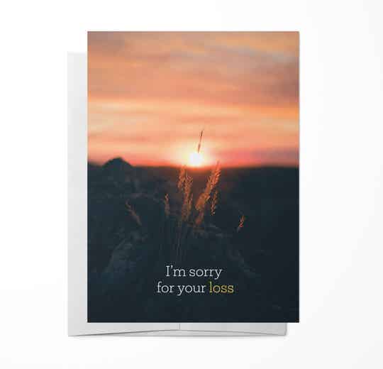 Kaart - I'm sorry for your loss