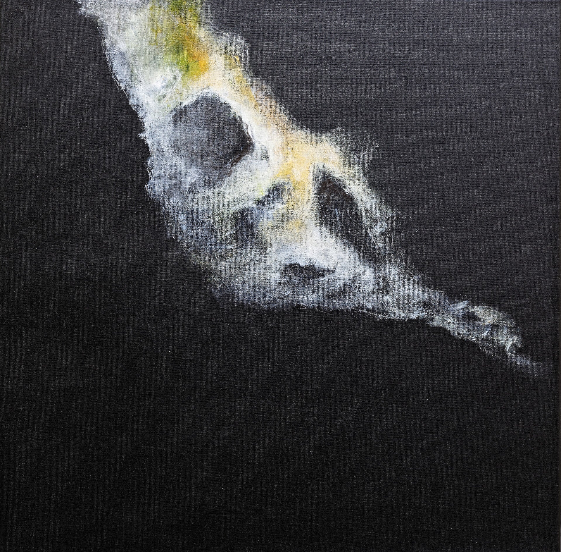 Collection chromatine- cathy punzy