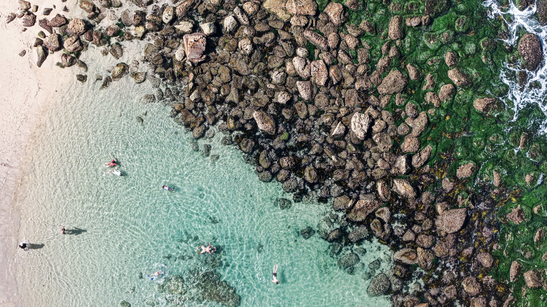 Coastal Contrast