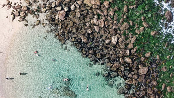 Coastal Contrast