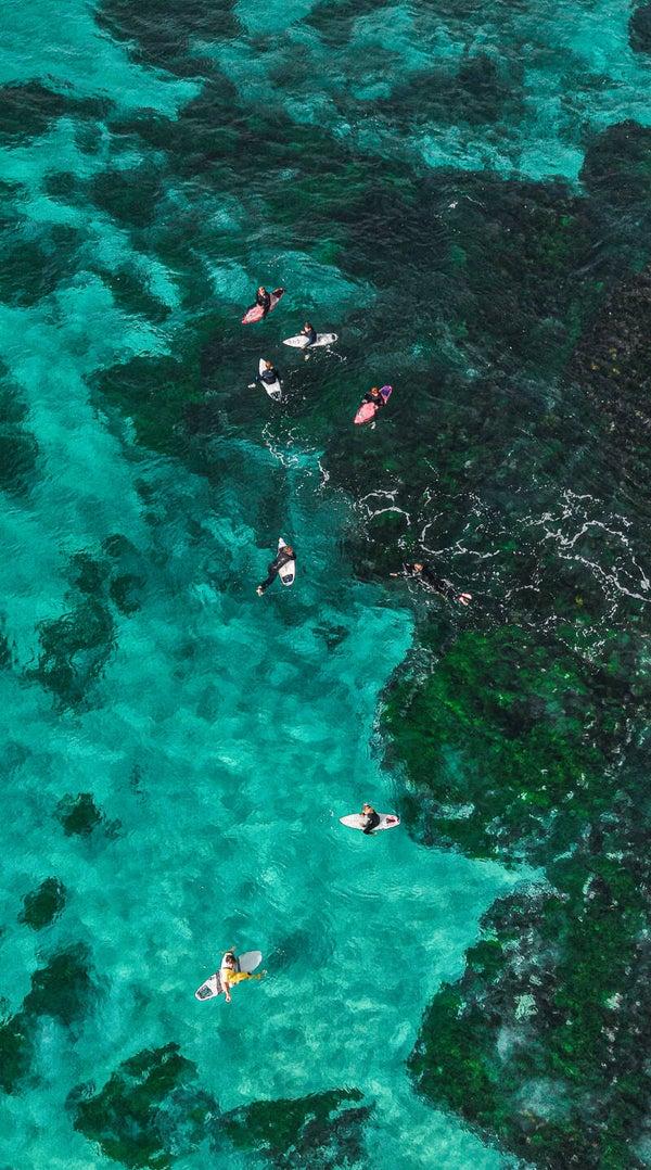 Bronte Reef