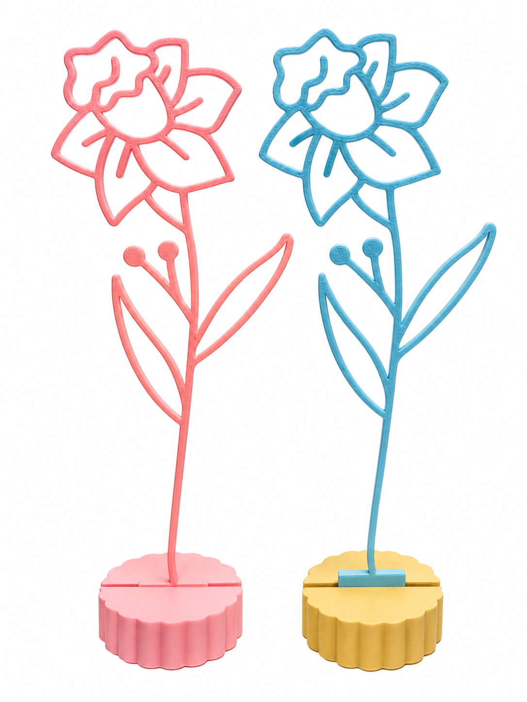 Geboortebloemen maart