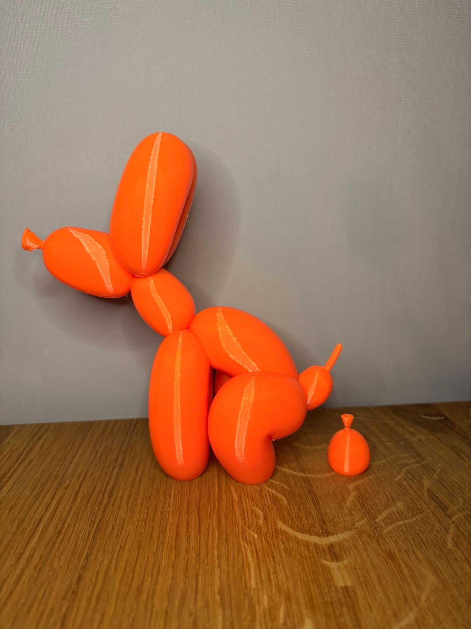 Ballon hond poep