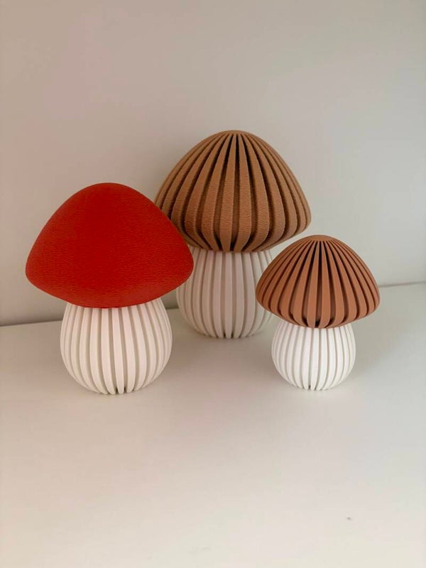 🍄 Decoratieve paddenstoelen