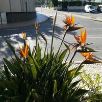 10fb39473e4fd20e56acbfb94b1752d6340e603ec1f5b161f18db7b12d402a46.jpg