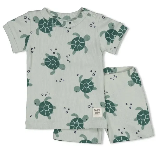Schildpad shortama