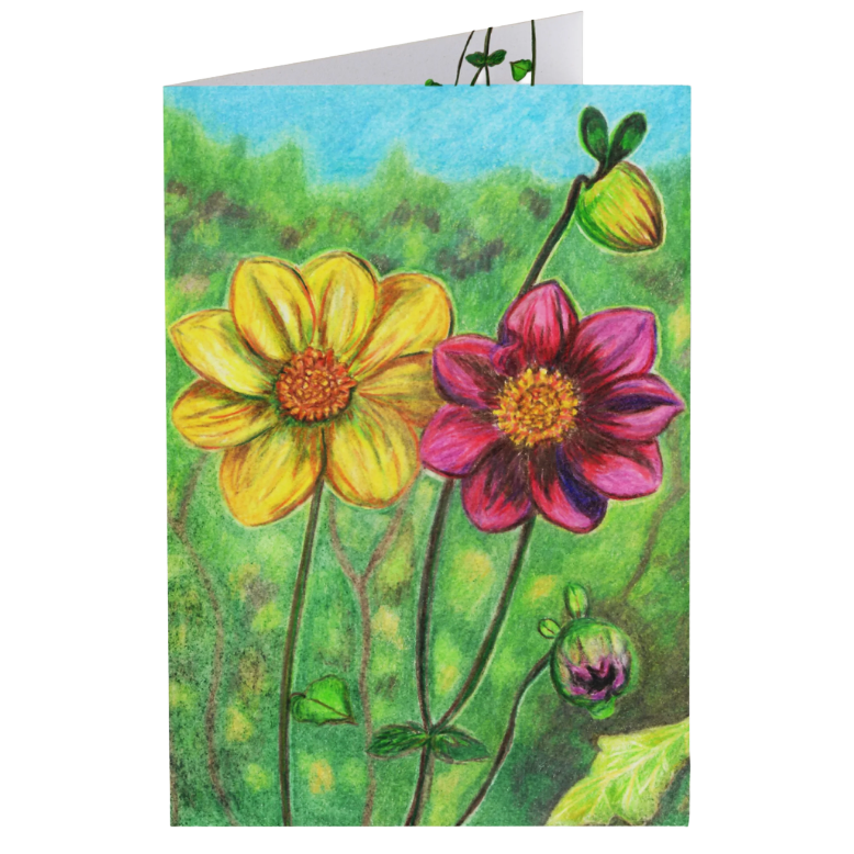 Dubbele kaart Dahlia's