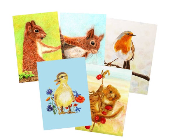 Pakketje dieren