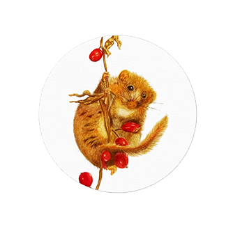 Stickers veldmuis wit