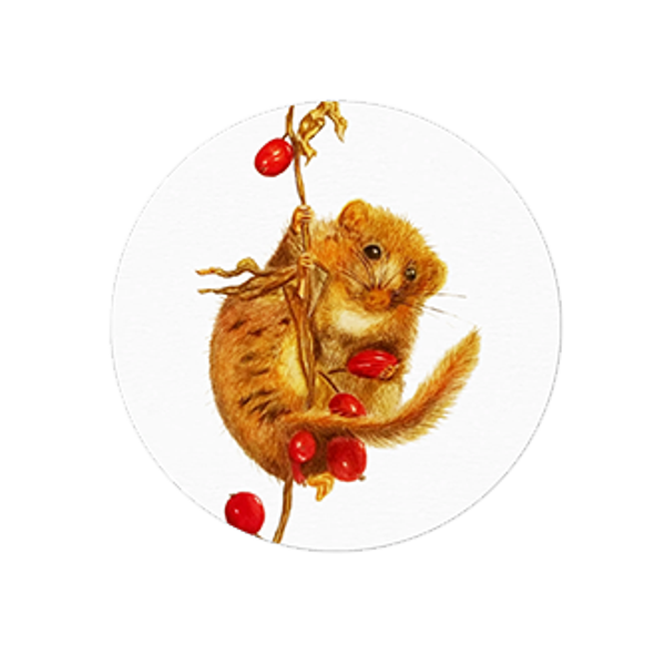 Stickers veldmuis wit