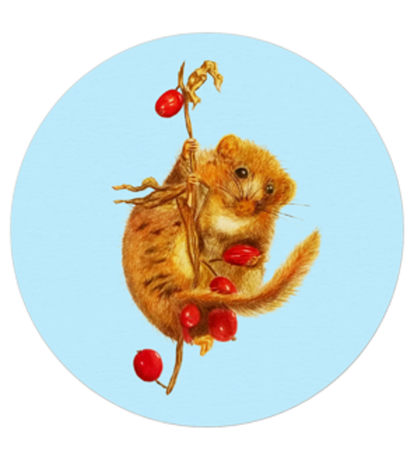 Stickers veldmuis blauw