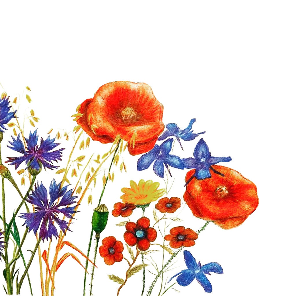 Dubbele kaart Veldbloemen