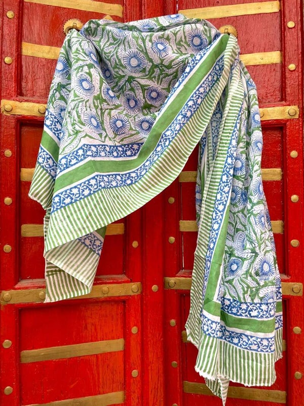 Pareo Rajni