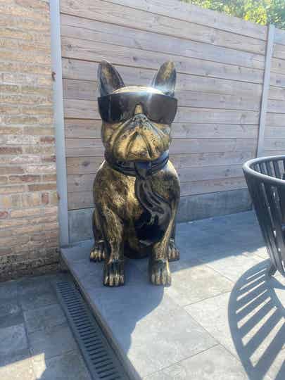 Franse Bulldog 120 cm