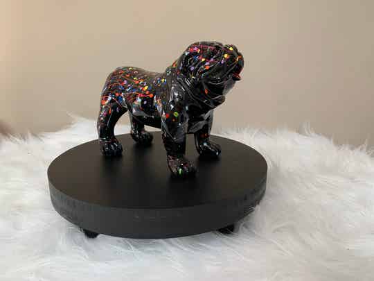 Engelse Bulldog Mini Zwart Coloursplash 20 cm