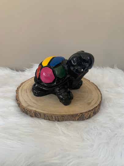 Schildpad Zwart 22cm