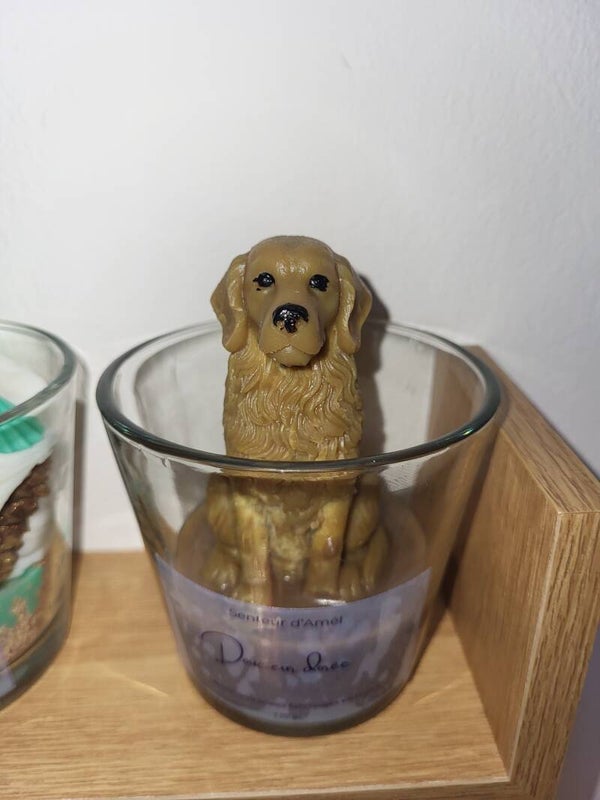 Bougie parfumées collection Animaux
