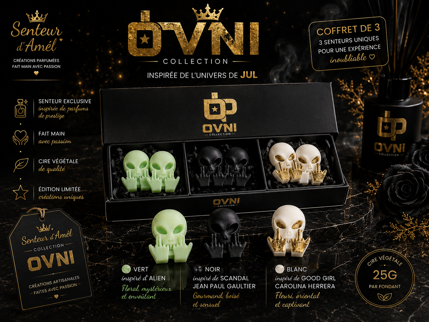 Coffret découverte Ovni
