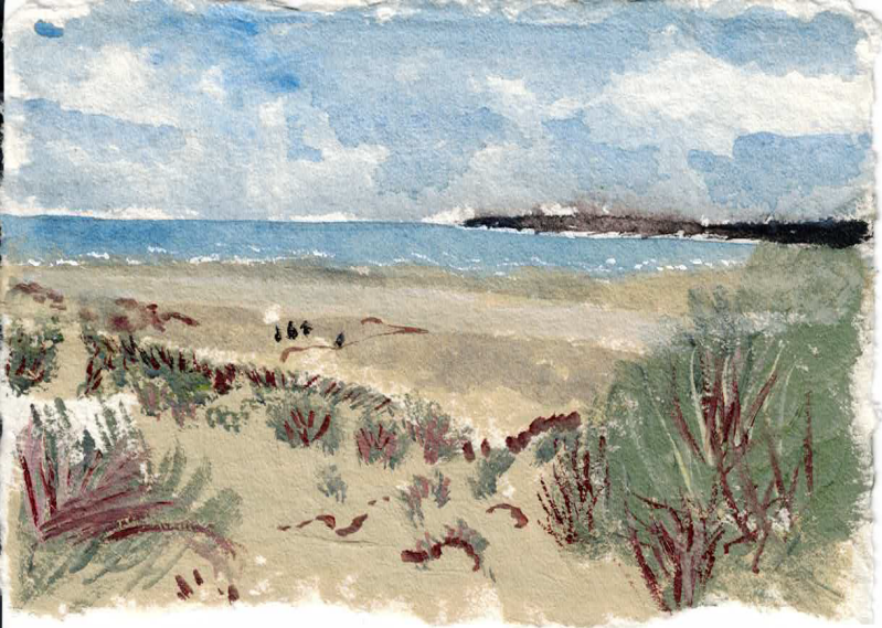 paysage-coe-opale-standard.png
