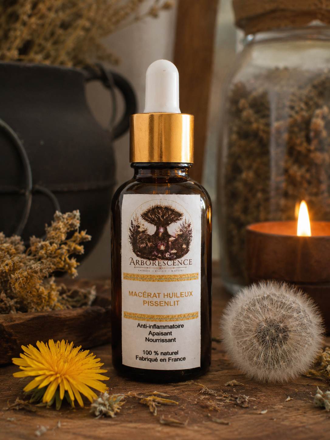 Macérat huileux de pissenlit (Taraxacum officinale) – 30 ml