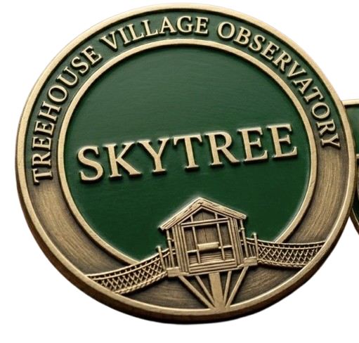 Broche SkyTree