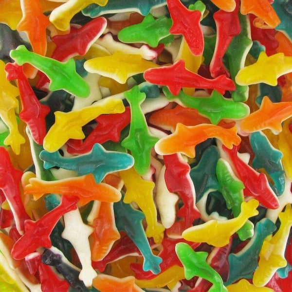 Requin lisse (100g)
