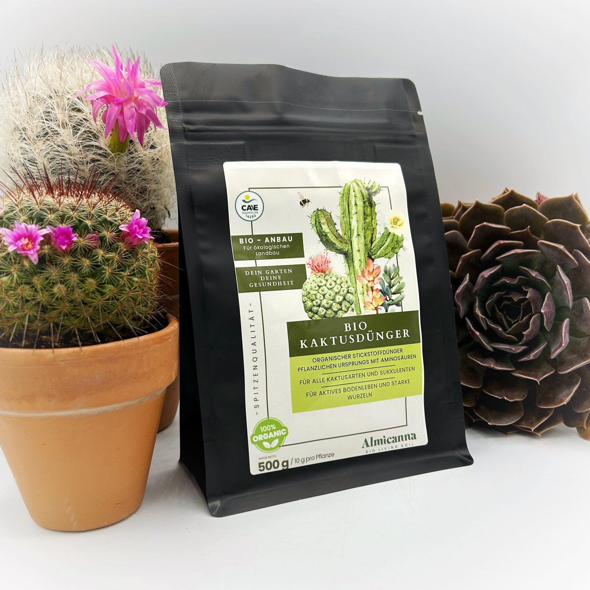Bio Kakteen- & Sukkulentendünger