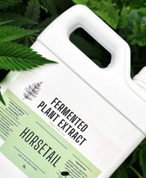 1L Ackerschachtelhalm /Horsetail FPE Fermented Plant Extract