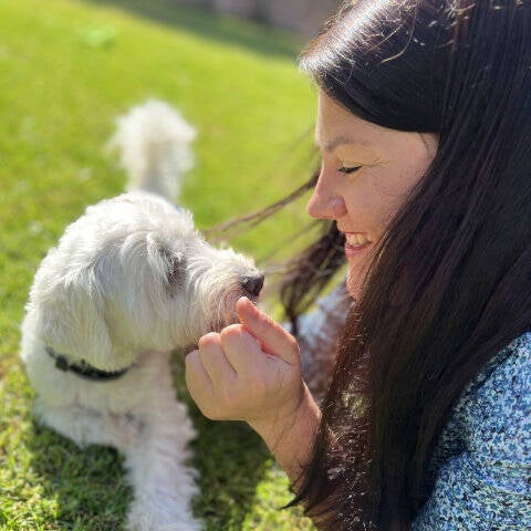 Petsitter for Dogs on Mallorca