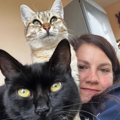 Bonnie und Clyde fühlen sich wohl mit Ihrer neuen Katzenbetreuung