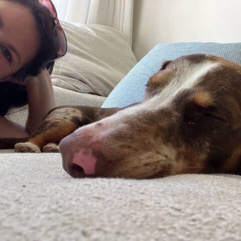 Hundesitting mit Oskar auf Mallorca