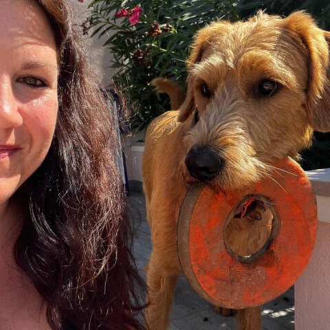 Happy Dog with Petsitter